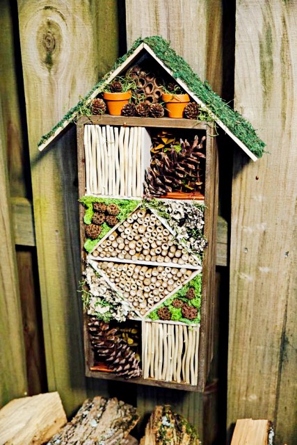 how-to-build-a-bug-hotel-flowers-and-plants-outdoors-hgtv