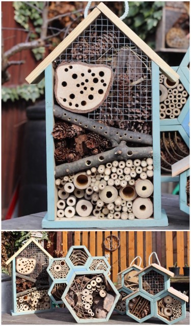 how-to-make-a-bug-hotel-that-really-works