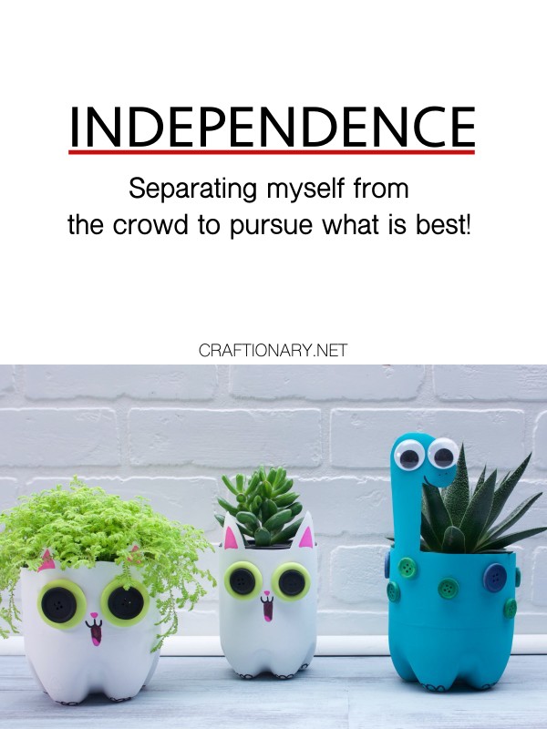 independent-plastic-bottle-planters-kids-craftionary