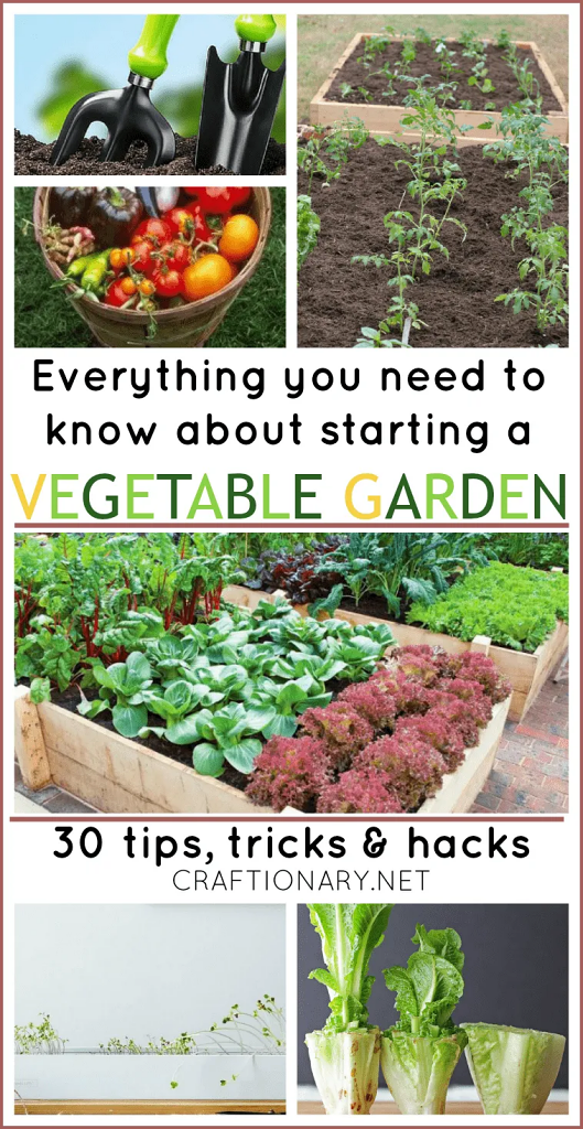 29 Gardening Hacks and Tips Anyone Can Use