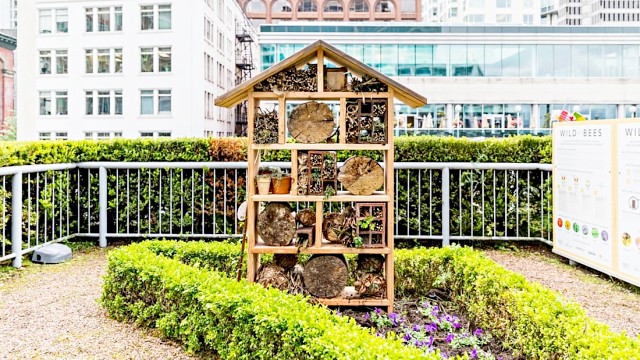 what-happens-in-an-insect-hotel-diy-bug-hotels