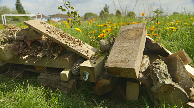 wildlife-author-gill-lewis-explains-how-to-build-a-bug-hotel