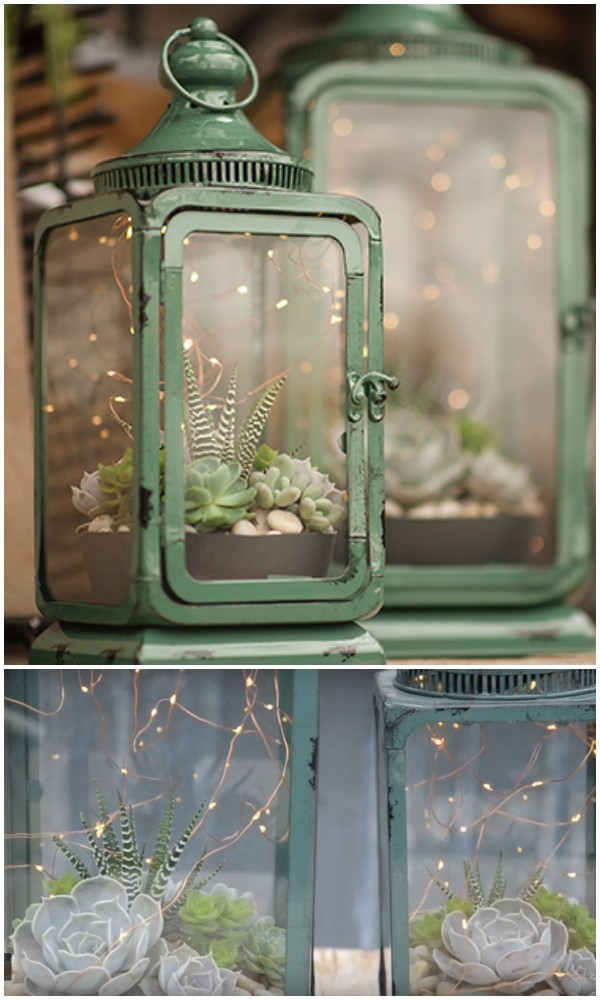 diy-lantern-succulent-diy-outdoor-lights-garden-lights-deck-lights-patio-lights-backyard-lights