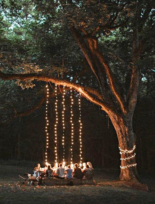 small-backyard-landscaping-gathering-under-the-tree-outdoor-lights-hanging-on-the-tree