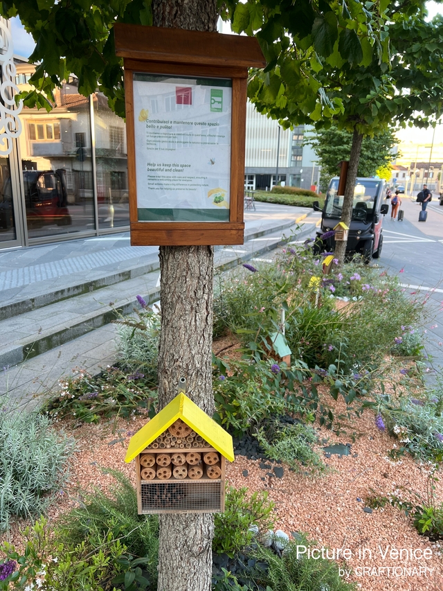 bug-hotel-in-venice