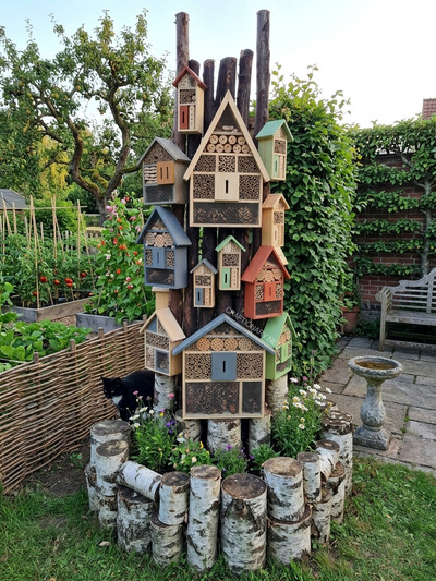bug-hotel-using-logs-in-backyard