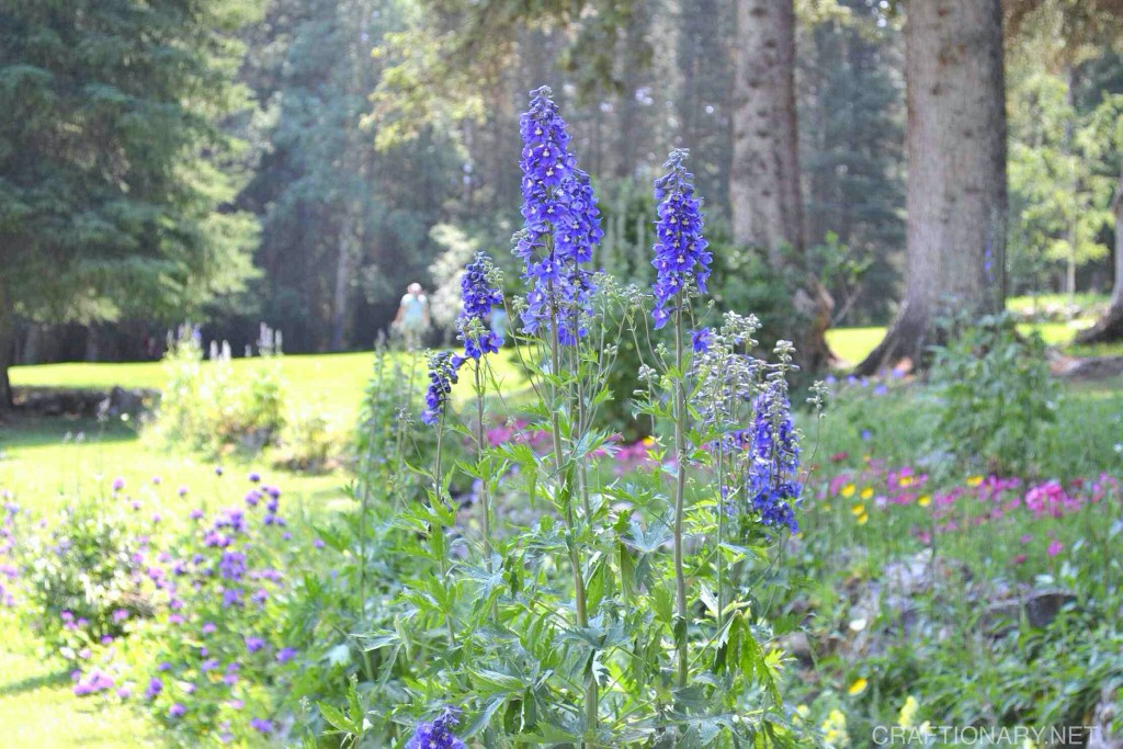 cascade-gardens-4