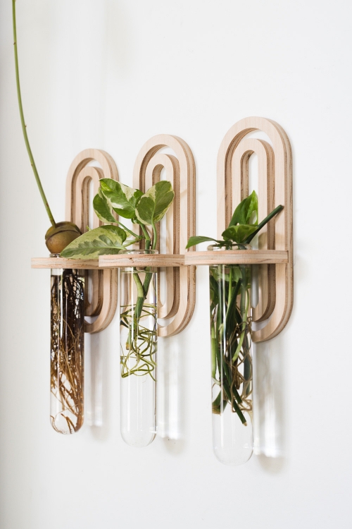 Arched-Propagation-Test-Tube-Planter