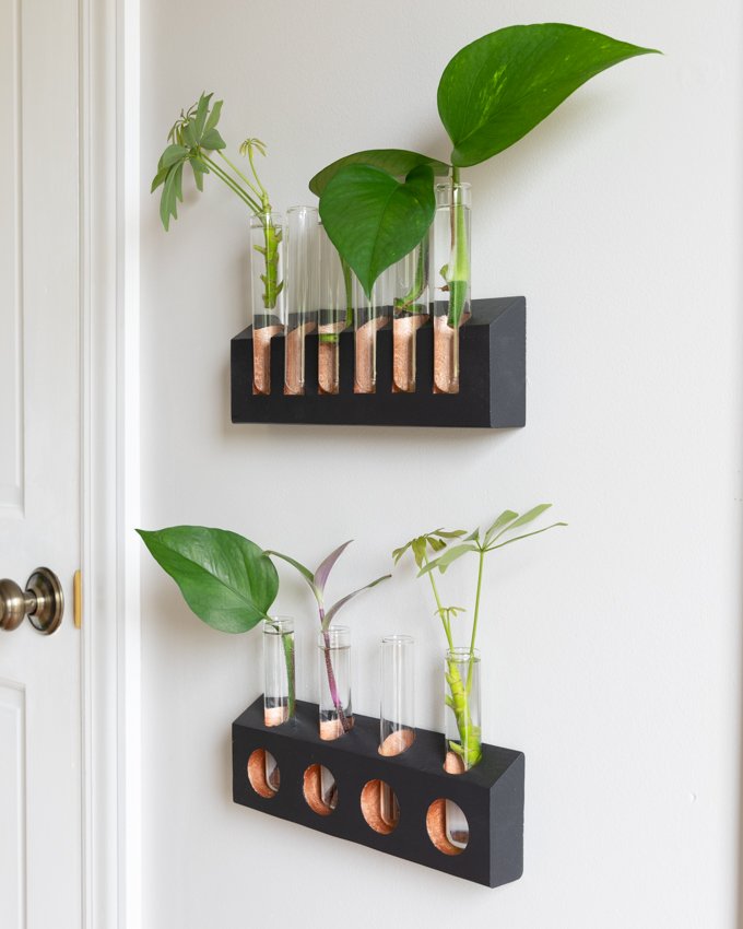 First DIY propagation station with salt and pepper shakers from