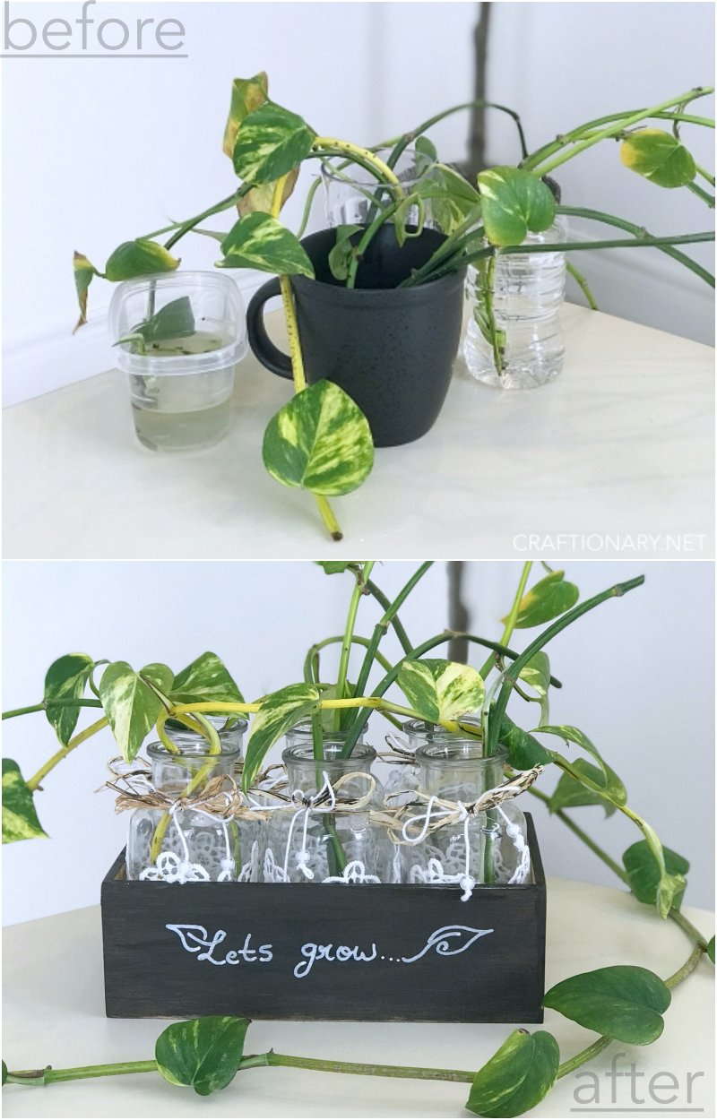 before-after-plant-propagation-station
