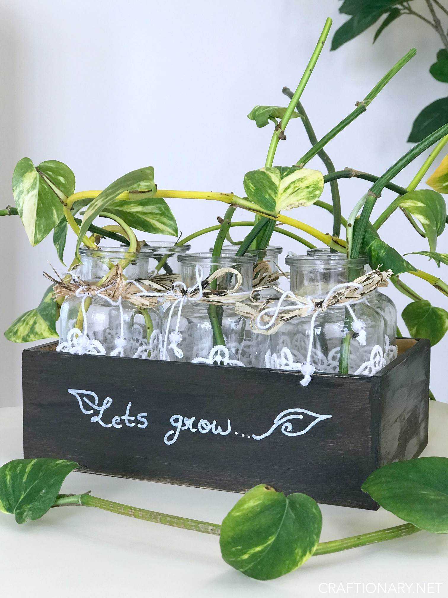 diy-plant-propagation-station-simple-idea