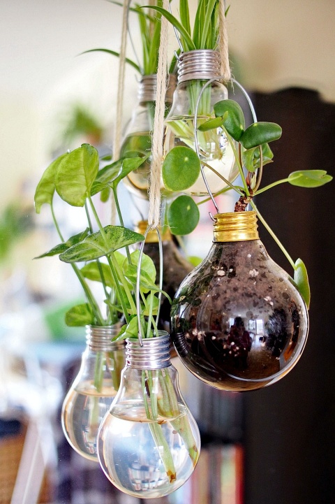 hanging-light-bulbs-propagation-planters