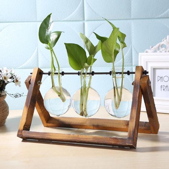 standing-plant-simple-wooden-stand
