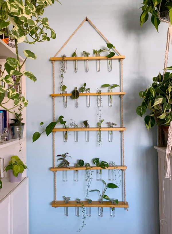 wall-hanging-planter-propagation-station