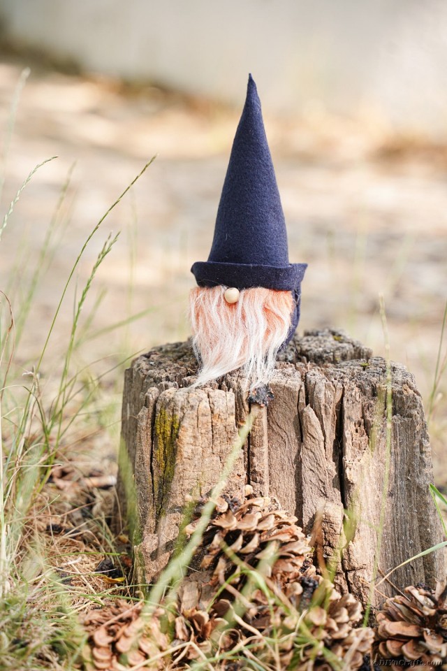 diy-gnome-instructions