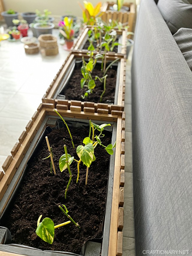 DIY-INDOOR-PLANTER-BOX-IKEA-tutorial