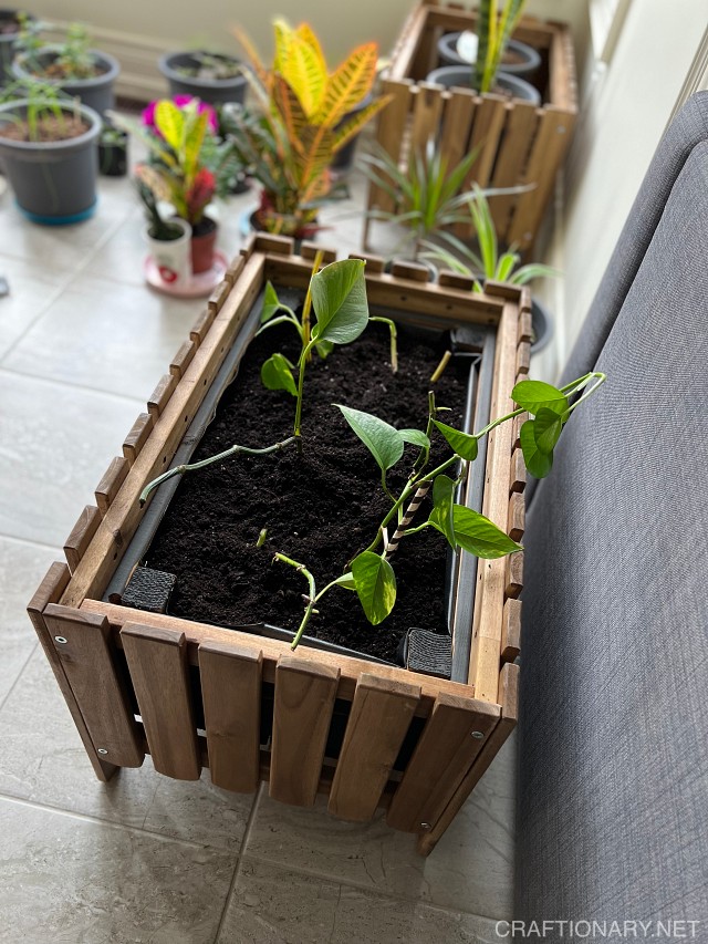 Diy Indoor Planter Box Idea With