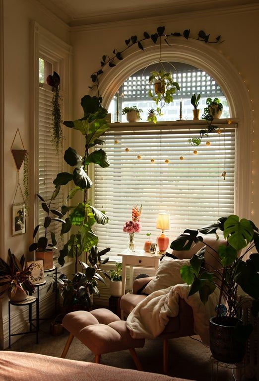 houseplants-cozy