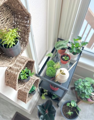 Hanging woven basket plant wall decor you will want for life