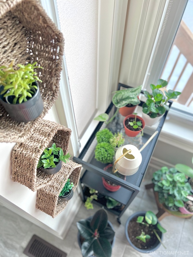 Wall baskets for plants deals