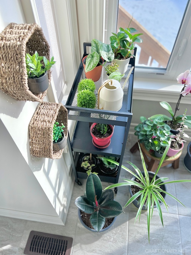 DIY Wicker Basket Planters - Small Space Designer