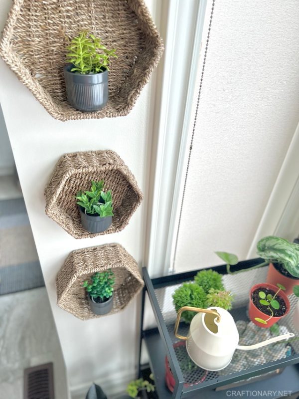 Hanging woven basket plant wall decor you will want for life - Craftionary