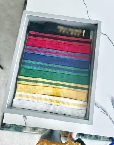 Dust Proof Martial Arts Karate Belt Display Case