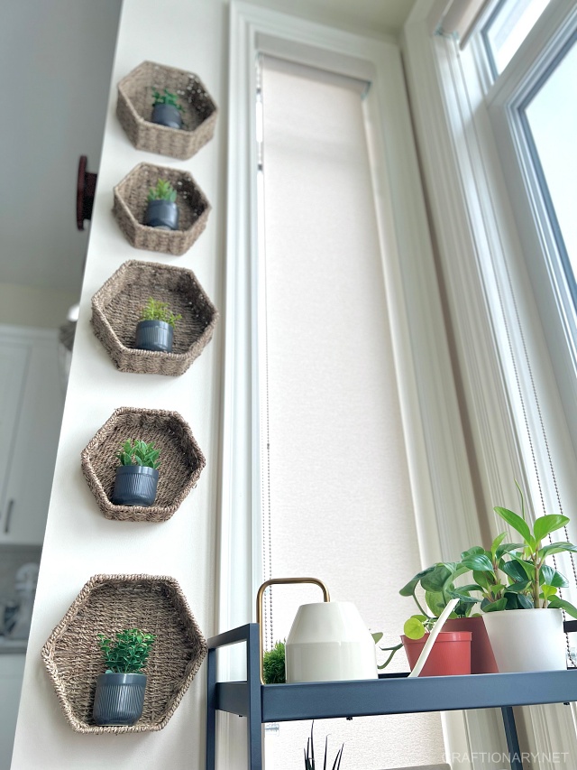 narrow-wall-decor-idea-plant-wall-art