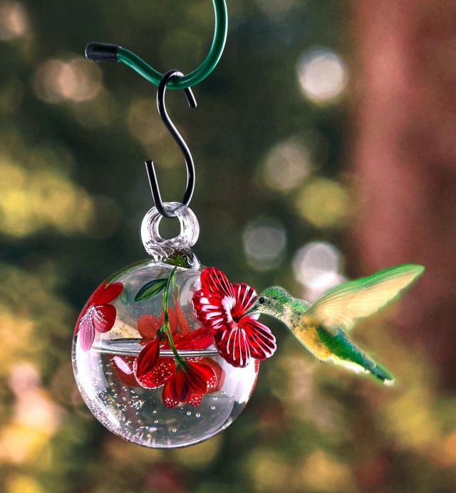 Hummingbird feeder glass