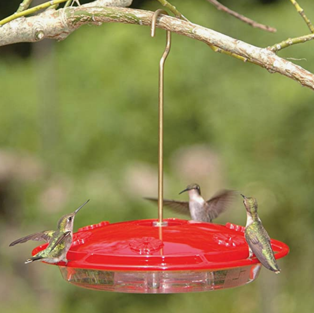 Apsects-HummZinger-excel-16-Ounce-Hanging-Hummingbird-Feeder