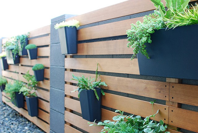 DIY modern plant wall