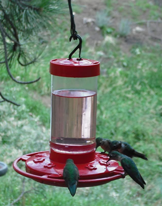 First-Nature-Hummingbird-Feeder
