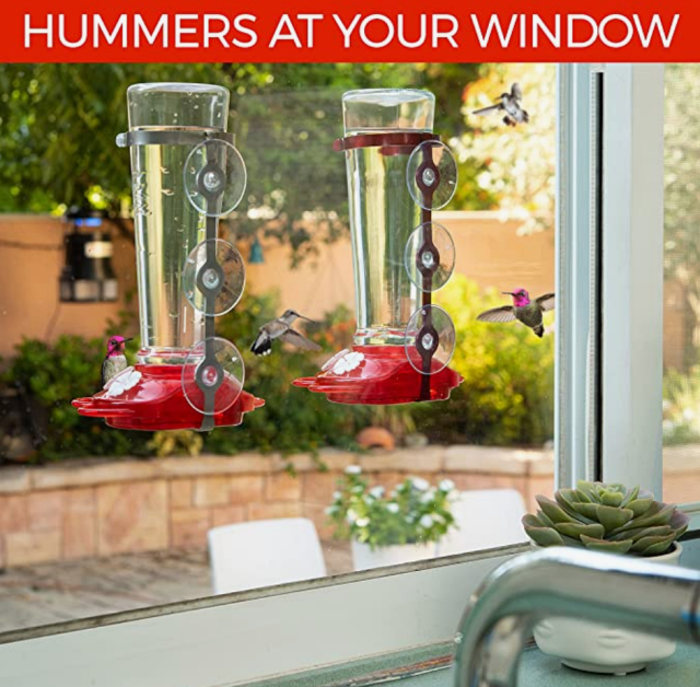 Nature-Anywhere-Window-Hummingbird-Feeder-for-outdoors