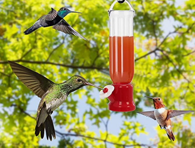 ORIENTOOLS-Hummingbird-Feeder-Window-Mount-Suction-Cup-Accessory-Connector-Mini-Hanging-Flower-Bird-Feeders