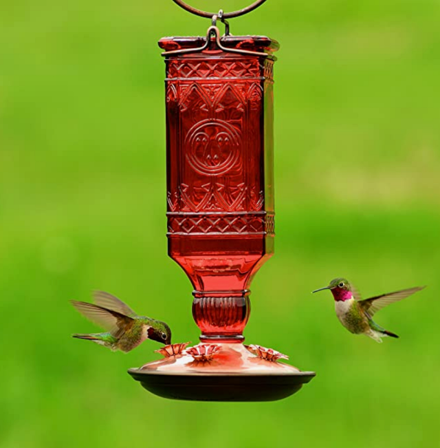 Perky-Pet-Antique-Bottle-Glass-Hummingbird-Feeder