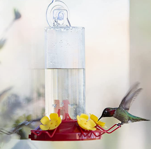 Perky-Pet-Window-Mount-Hummingbird-Feeder