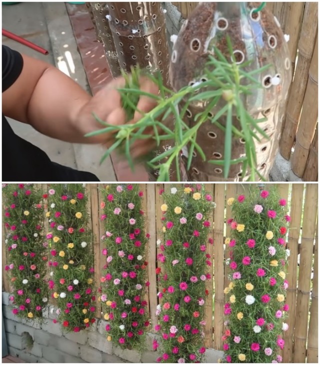 Beautiful diy vertical hanging garden