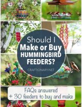 buy or make diy hummingbird feeder hummers feeders