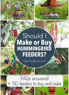 Buy or make DIY hummingbird feeder for your home garden