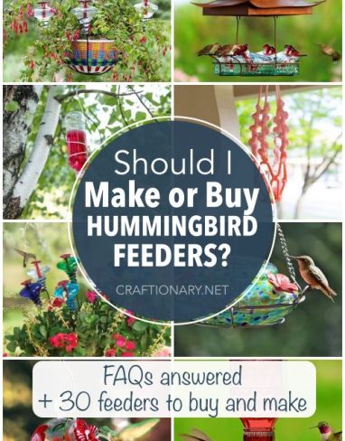 Buy or make DIY hummingbird feeder for your home garden