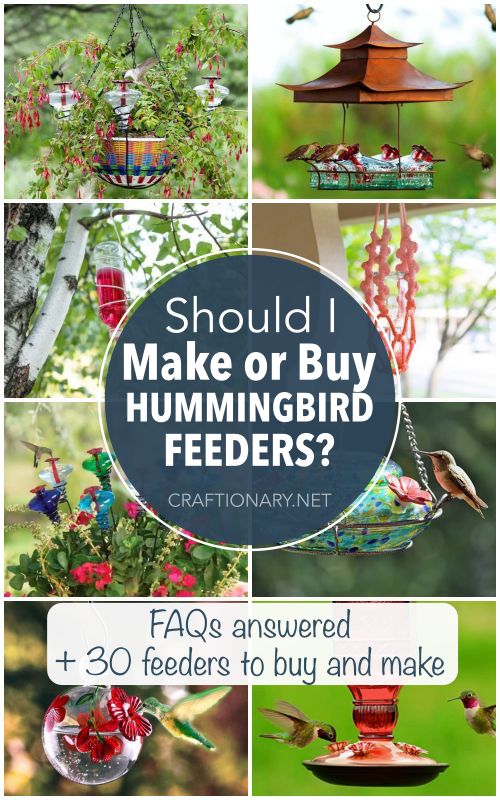 buy or make diy hummingbird feeder hummers feeders