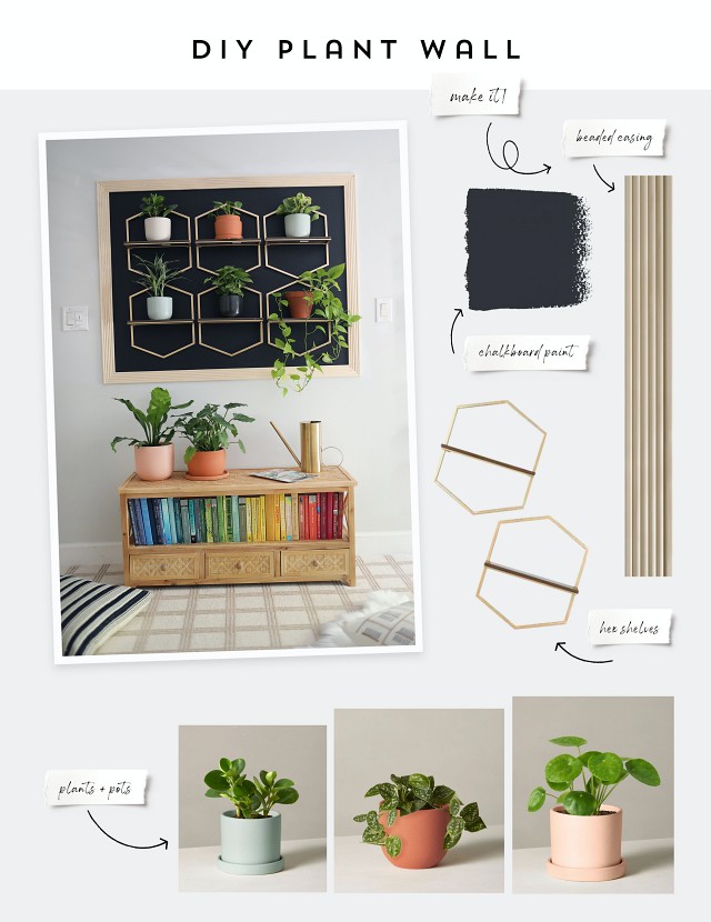 DIY vertical plant walls indoor garden