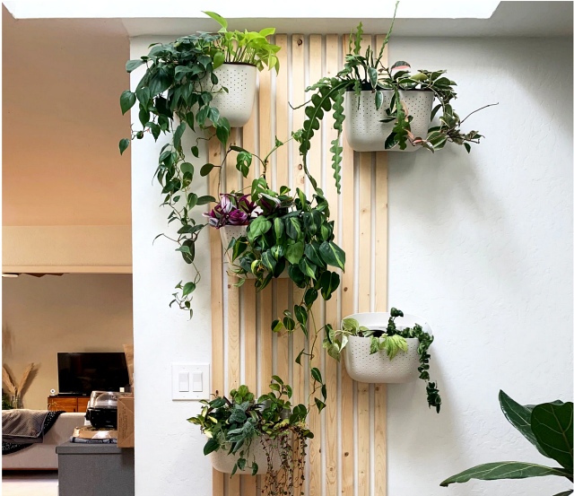 diy slatted plant wall