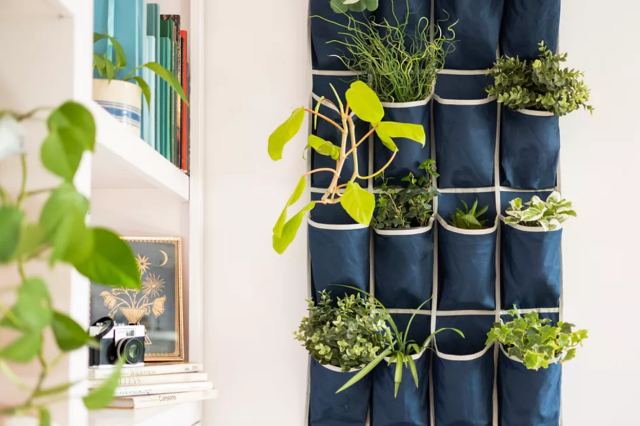 how to make a vertical plant wall indoor