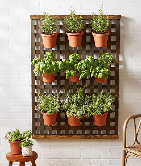 how to make an indoor wall garden