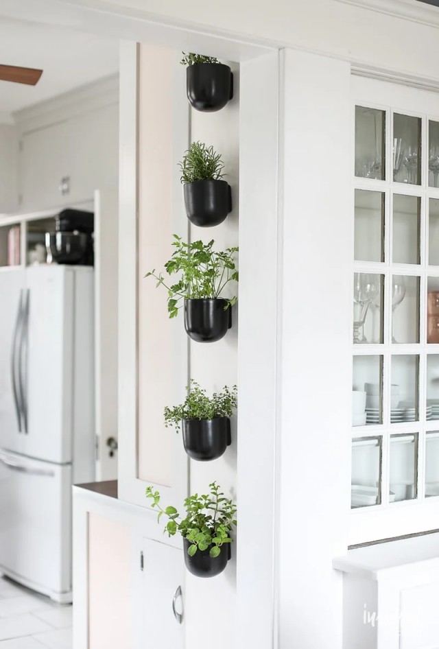 modern kitchen herb garden