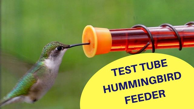 test tube hummingbird feeders