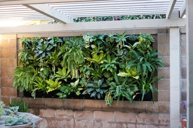 vertical plant walls pocket wall garden