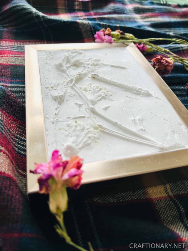 bas-relief dried botanical arts using air dried flowers framed