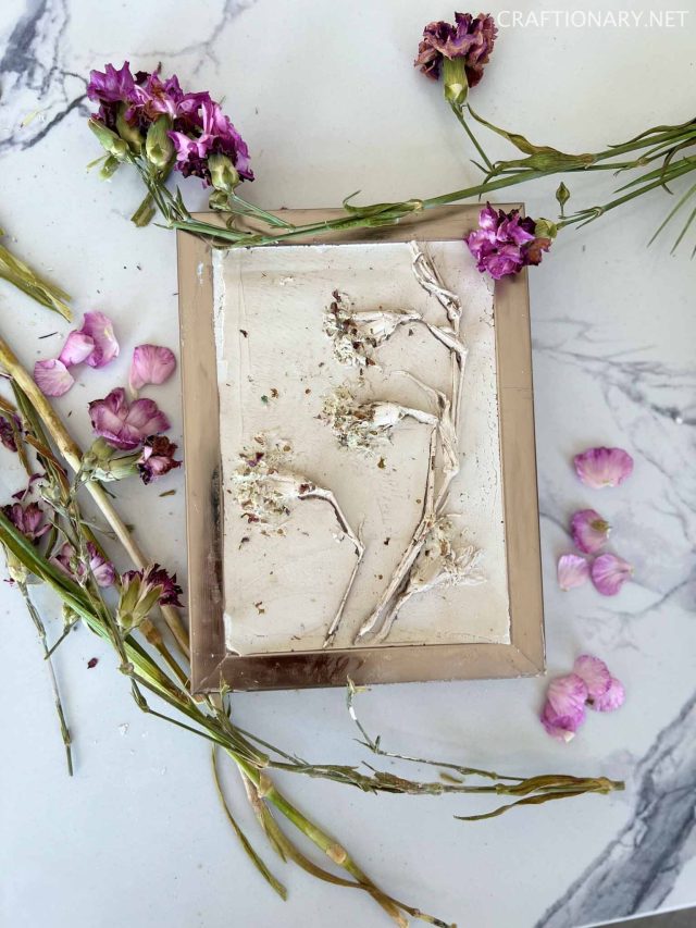 bas-relief dried botanicals cast impression arts frame natural look expensive